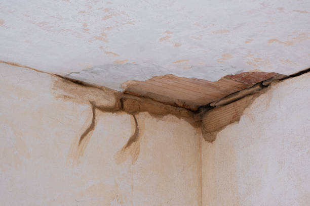 Best Ceiling water damage repair  in Mount Arlington, NJ