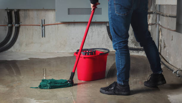 Best Water damage contractors near me  in Mount Arlington, NJ