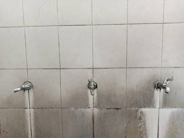 Best Carpet water damage restoration  in Mount Arlington, NJ